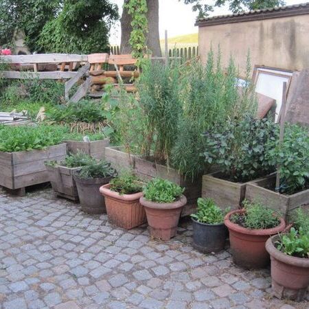 Kräutergarten